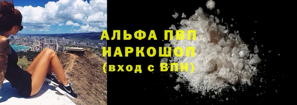 мдпв Козельск