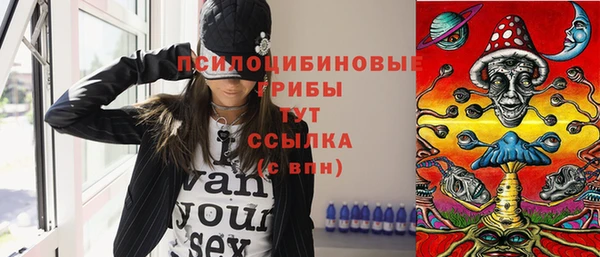 мдпв Козельск