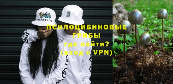 мдпв Козельск