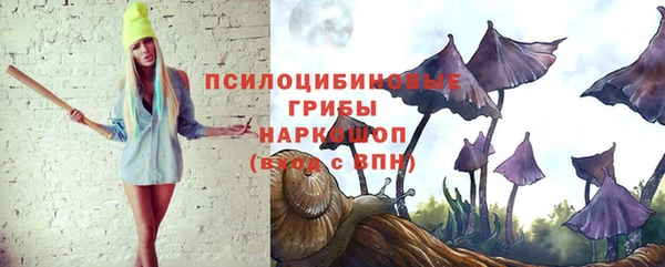 дурь Козловка